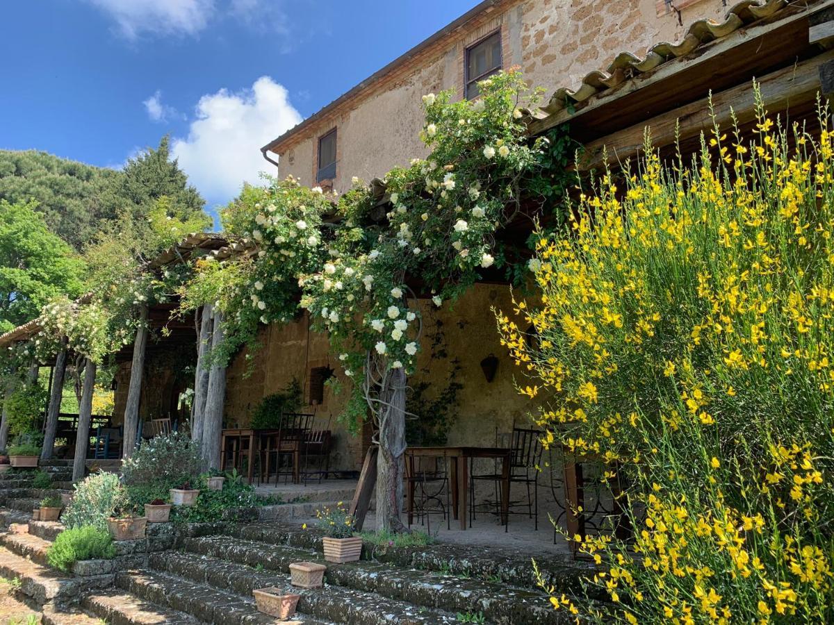 Lubriano Agriturismo Locanda Settimo Cielo מראה חיצוני תמונה