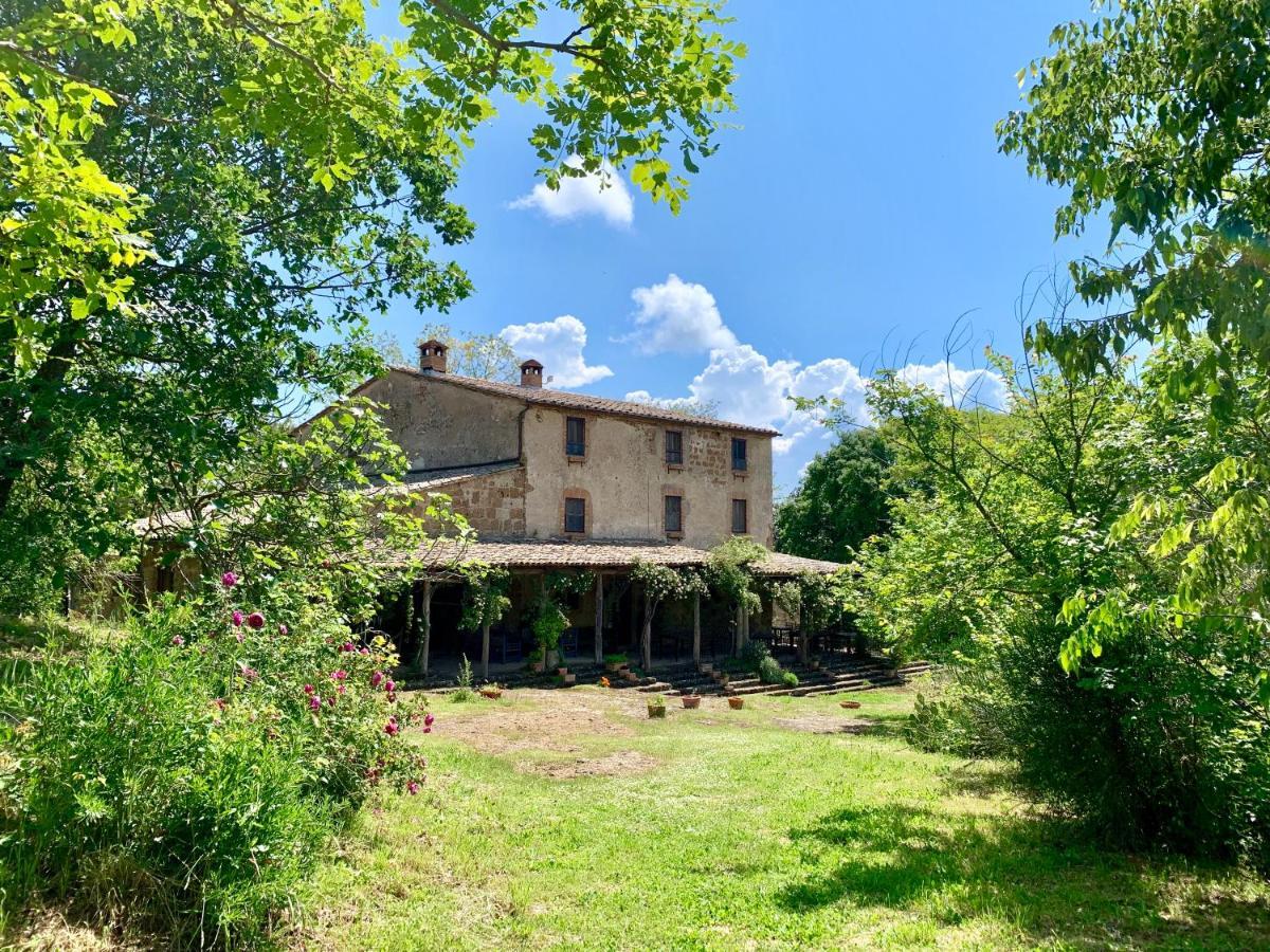 Lubriano Agriturismo Locanda Settimo Cielo מראה חיצוני תמונה