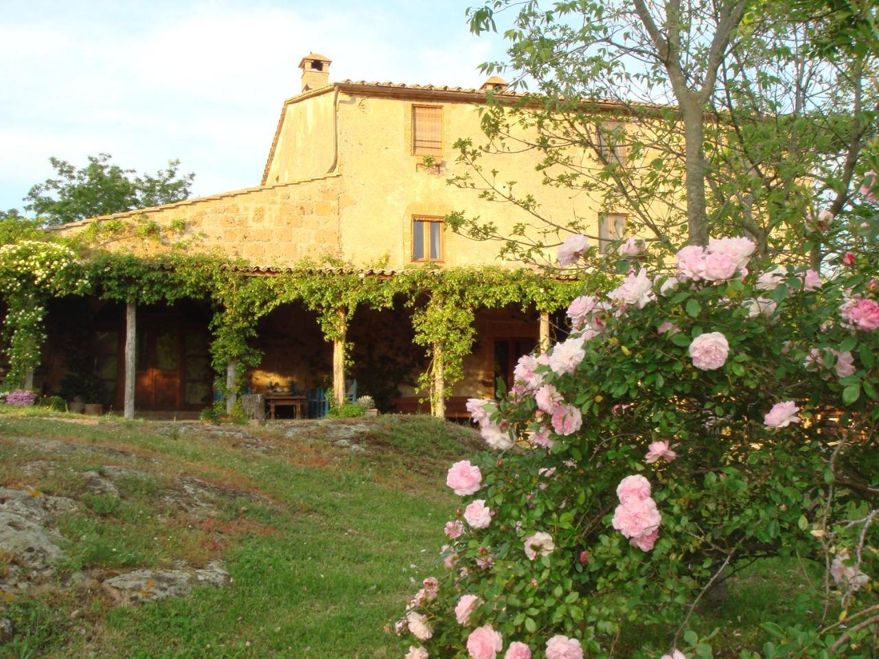 Lubriano Agriturismo Locanda Settimo Cielo מראה חיצוני תמונה