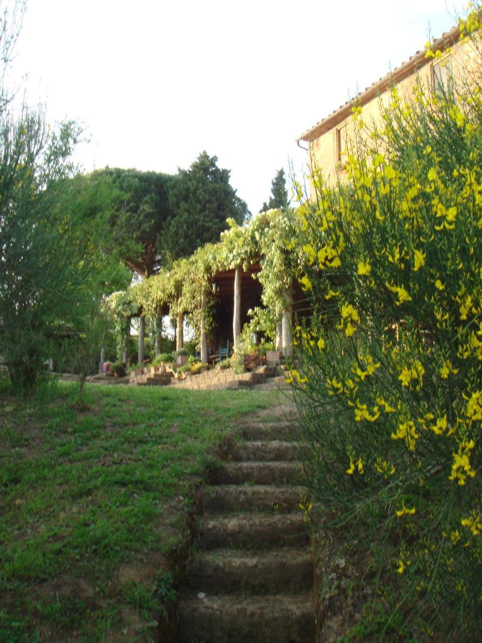 Lubriano Agriturismo Locanda Settimo Cielo מראה חיצוני תמונה